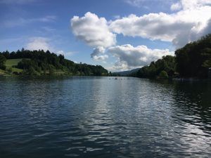 IMG_4886