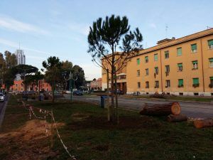 Viale Italia