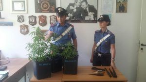 Carabinieri maria