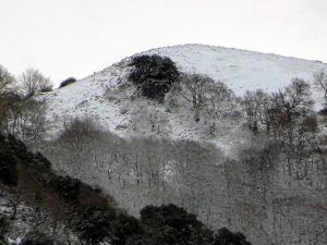 Ondata di freddo a Cori (5)