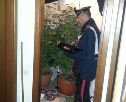 marijuana-aprilia-aprile-2016