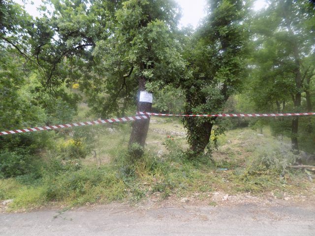 Forestale Itri