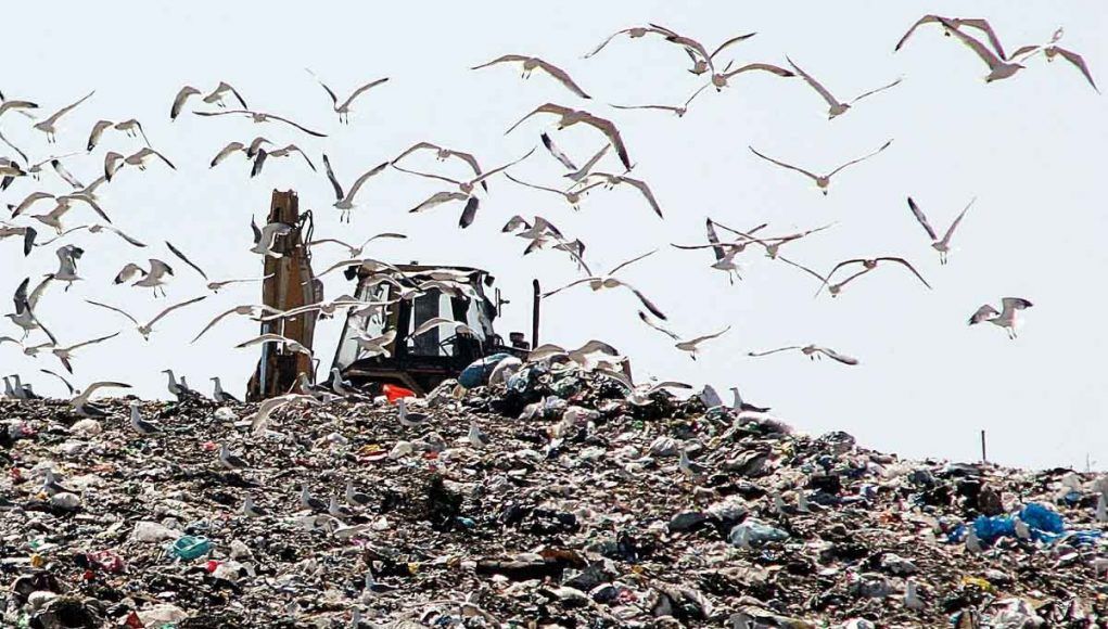 Indeco discarica