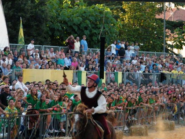 Cavaliere Porta Ninfina - foto Vincenzo Corradini