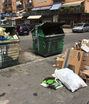 Rifiuti cassonetti
