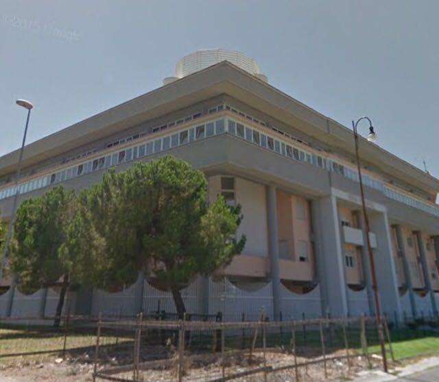 Curia