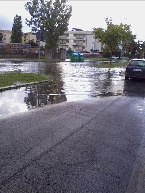 polo dei trasporti nautici