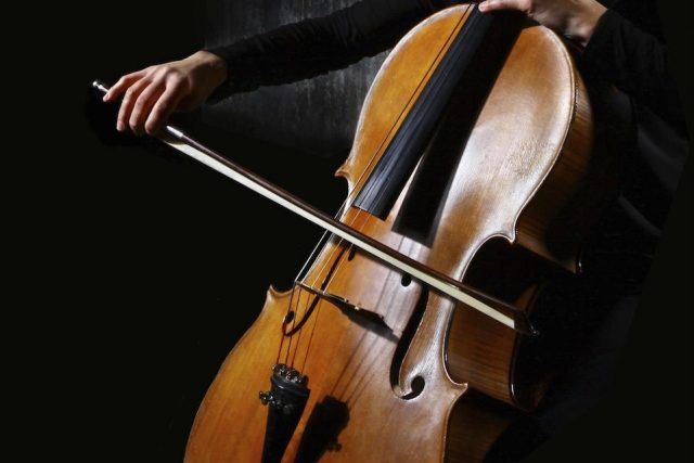 violoncello