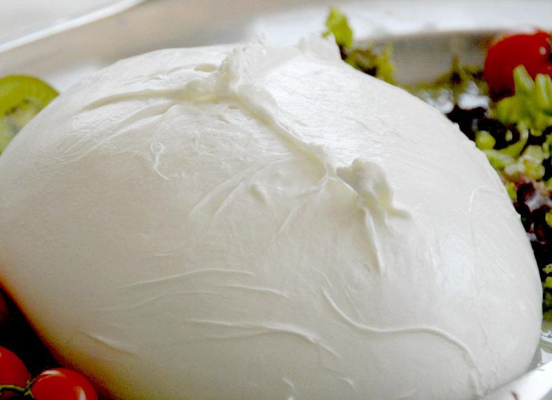 mozzarella-bufala