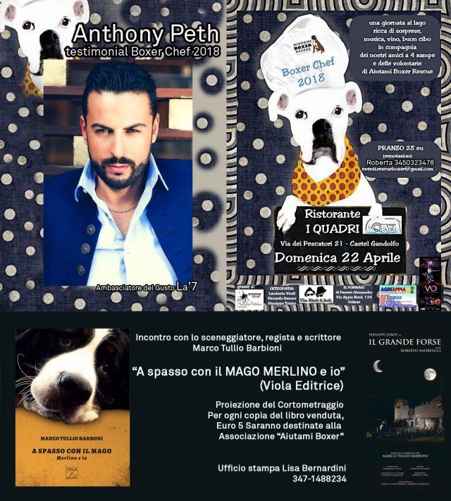 locandina (17)