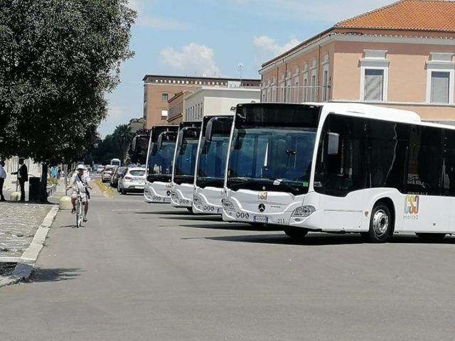 tpl Latina Autobus