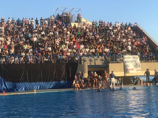 latinapallanuoto-playoffpromozione