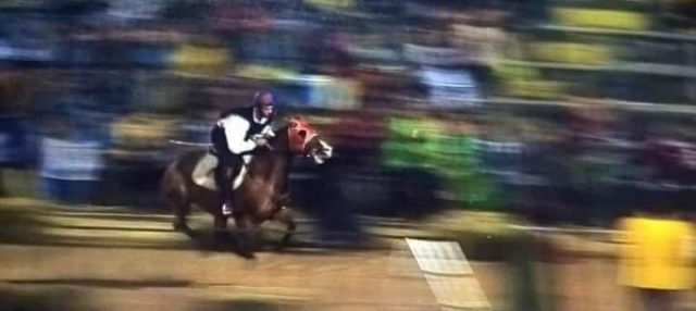 palio Cori