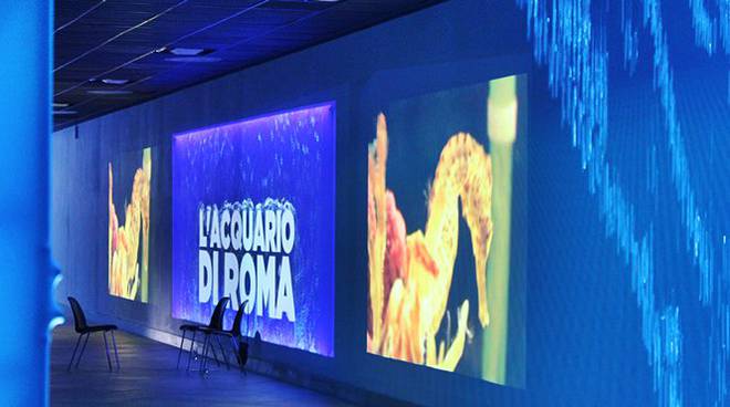 acquario di roma foto