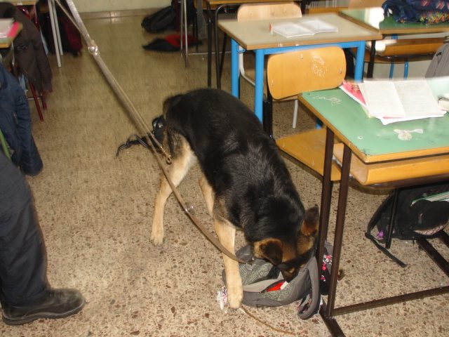 carabinieri scuole droga
