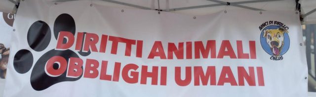 diritti