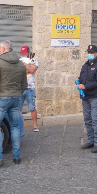 Foto Coniglio Fondi