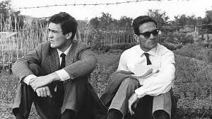 Pasolini Bertolucci