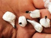 Sgominata organizzazione criminale che per 10 anni ha gestito un vasto traffico di cocaina