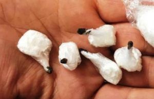 Sgominata organizzazione criminale che per 10 anni ha gestito un vasto traffico di cocaina