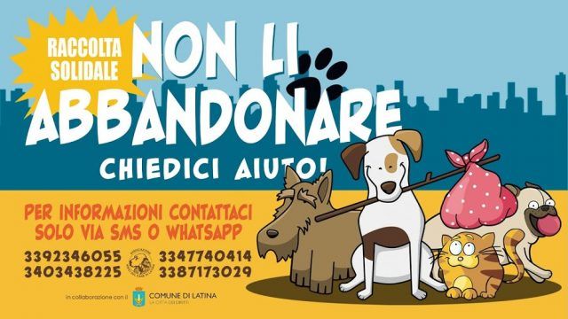 Amici cane
