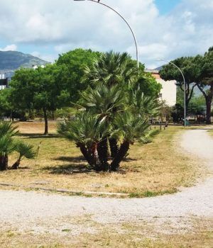 Terracina Mosaico Verde