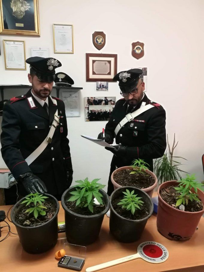 marijuana2