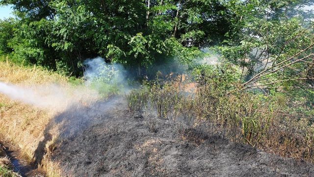 Incendio litoranea