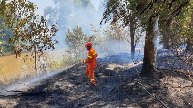 Sabaudia-incendio via Lavorazione1