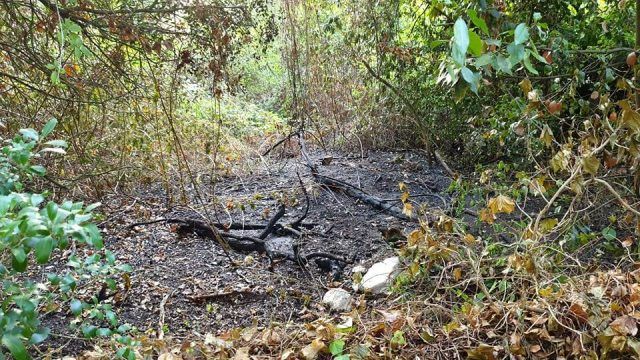 Anc-incendio Baia D'Argento