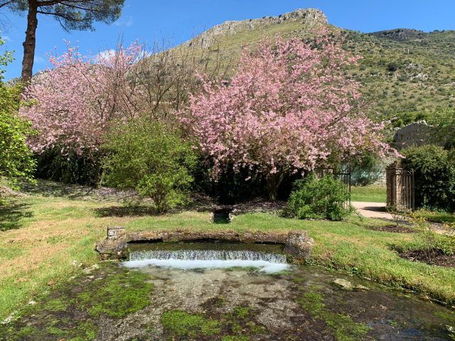 Ninfa (4)