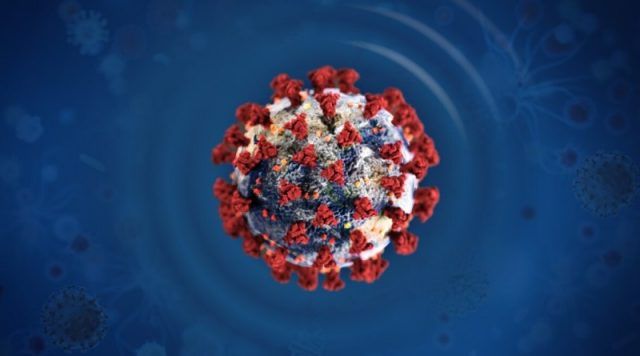 coronavirus2