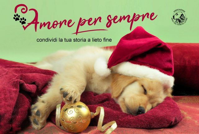 Amore per sempre - Amici del Cane di Latina
