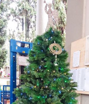 Cisterna-albero viittime della strada