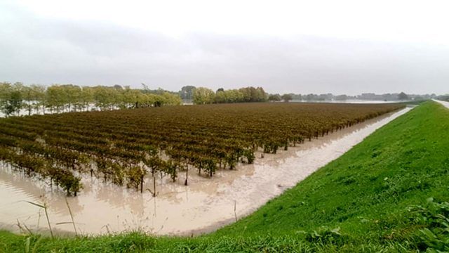 campo-allagato-2