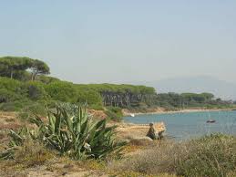 poligonotiro