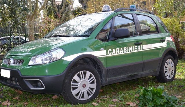 Carabinieri-Forest.
