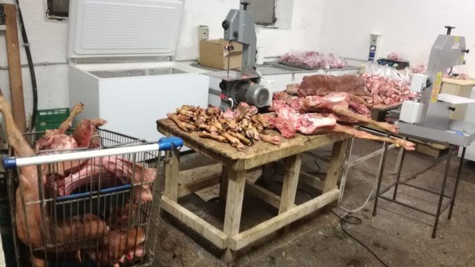 Macellazione_clandestina