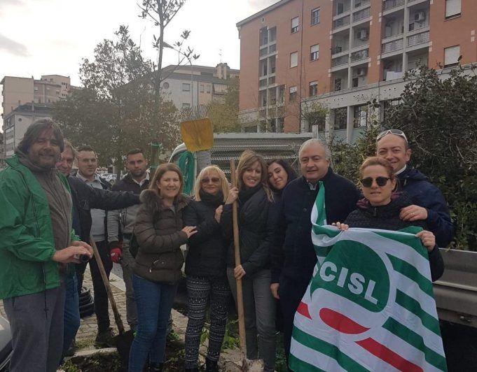PiantiAMO un albero