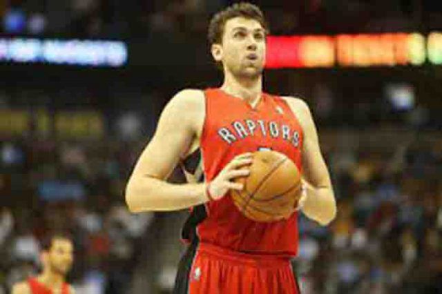 bargnani
