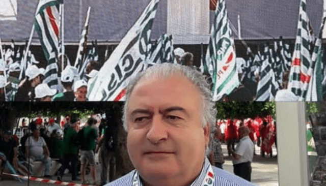 cecere cecere