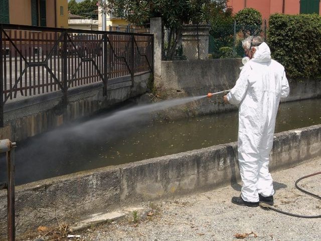 disinfestazione
