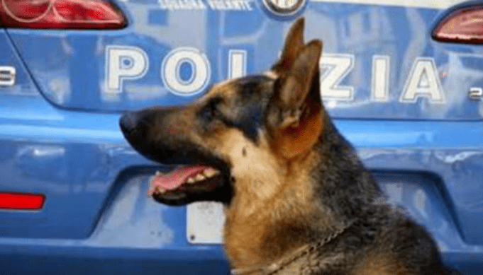 Progetto senza titolo (53) polizia cinofila