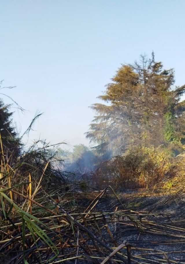 Sabaudia-incendio B.Farnia