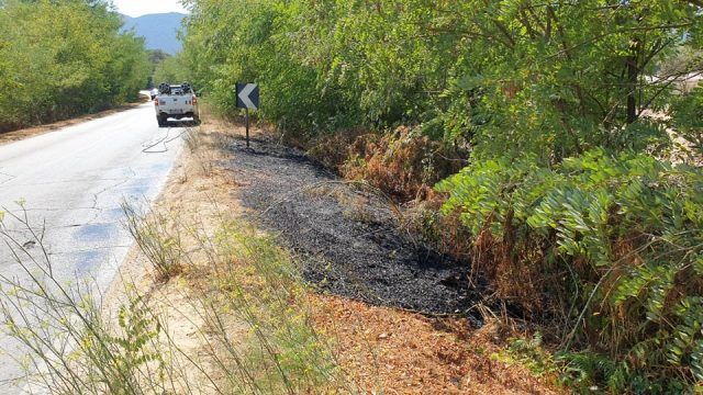 Sabaudia-incendio incrocio Villa Domiziano
