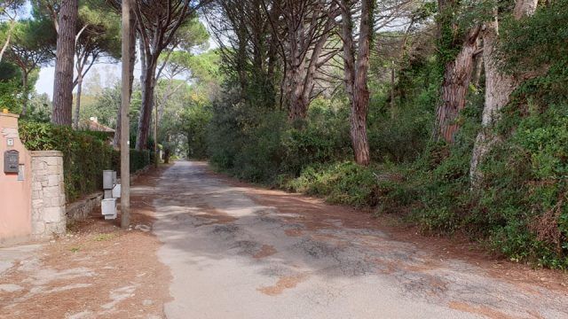 Comitato Molella-via Selva Piana
