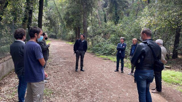 Parco-visita daini