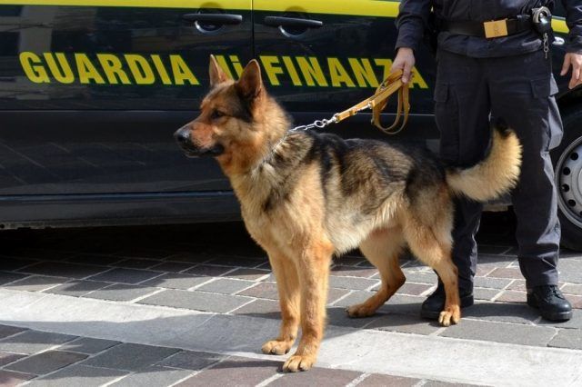 finanza-cane-2-2