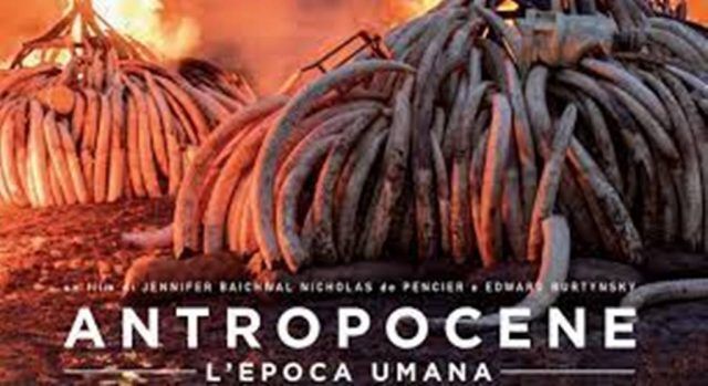 Antropocene