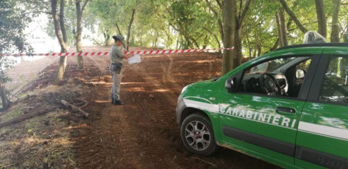 carabinieri forestali